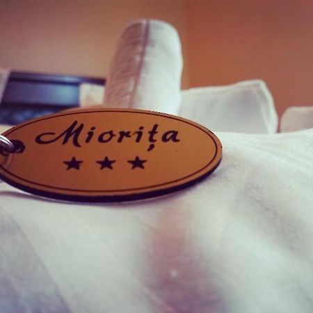 Hotel Restaurant Casa Miorita Buşteni Zewnętrze zdjęcie