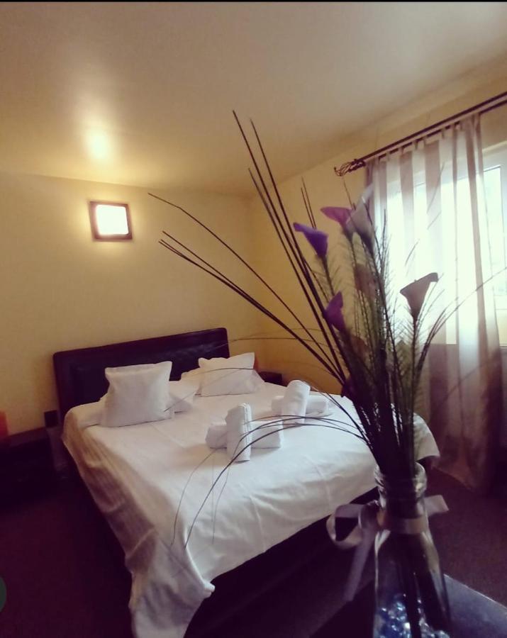 Hotel Restaurant Casa Miorita Buşteni Zewnętrze zdjęcie
