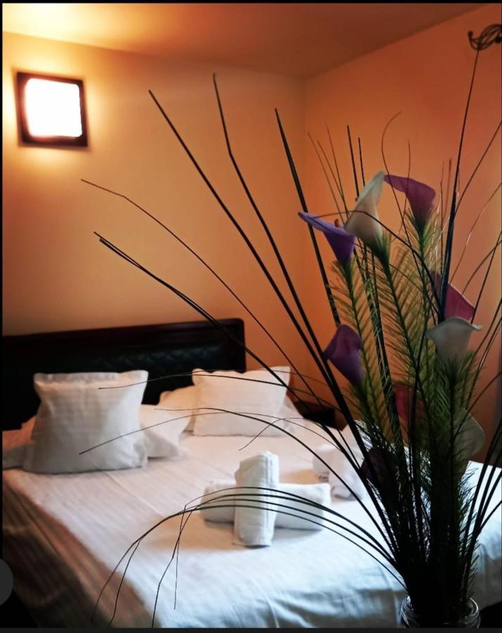 Hotel Restaurant Casa Miorita Buşteni Zewnętrze zdjęcie